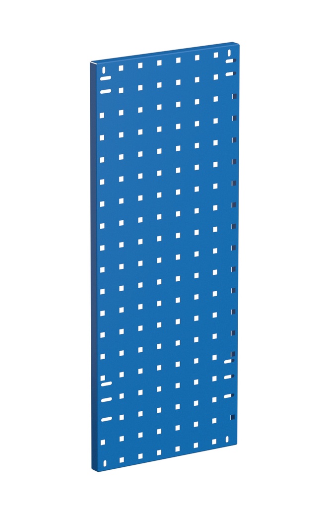 Lochplatte für Industrieschrank (Tür oder Seitenwand)