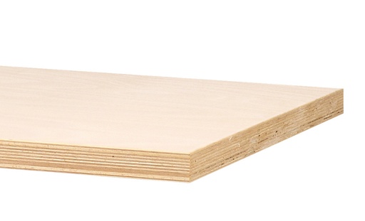 Workshop-Tischplatte 
